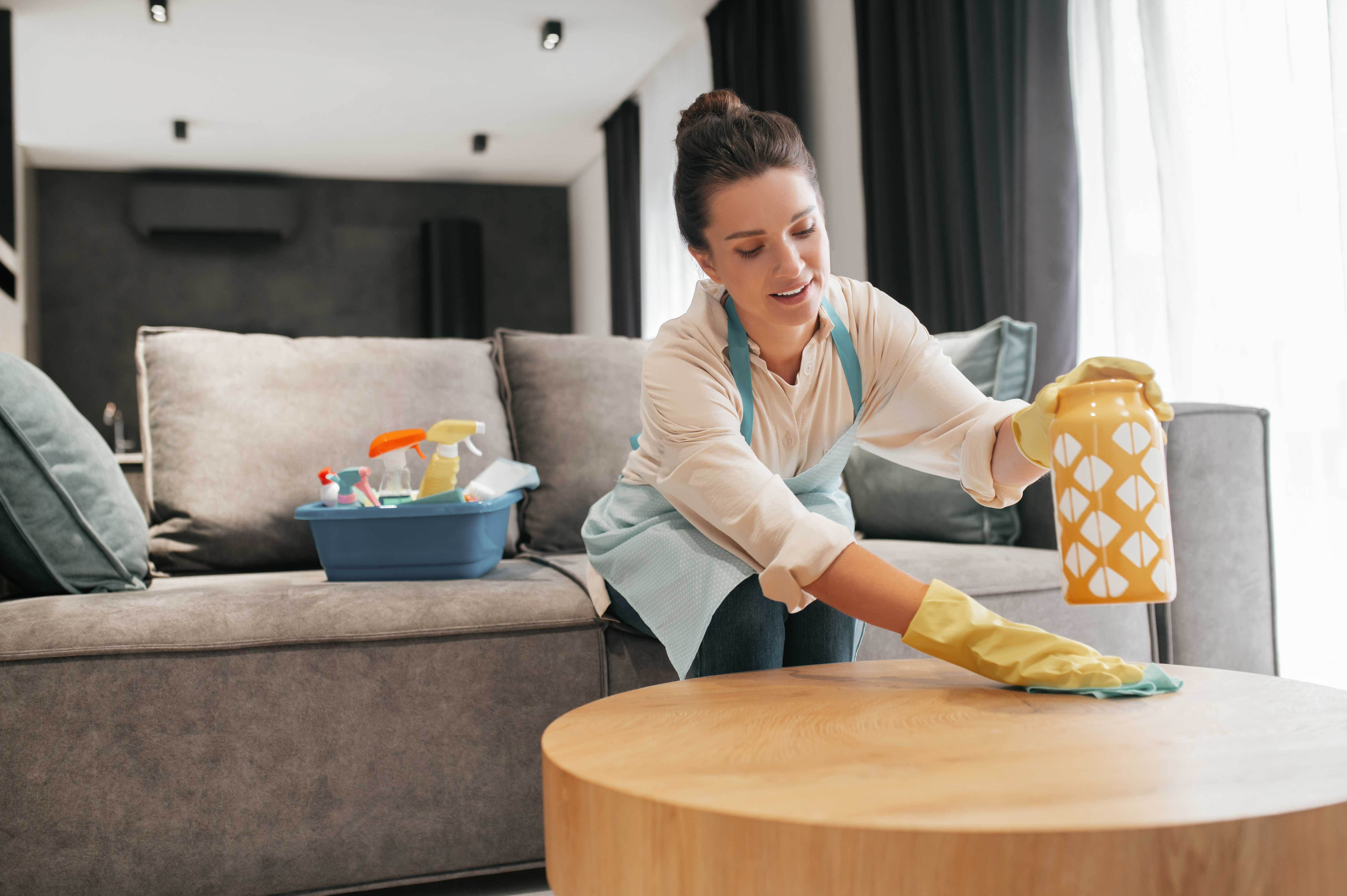 Professional home cleaning